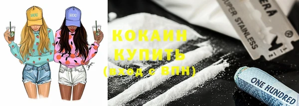 индика Алексеевка