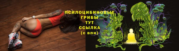 таблы Алексин