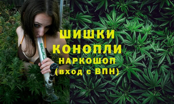 индика Абдулино