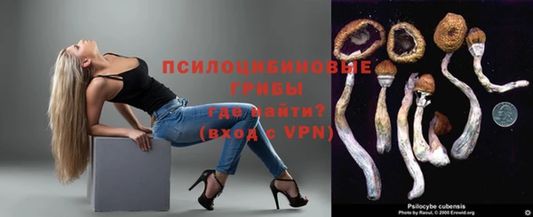 индика Алексеевка
