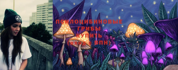 бутират Алзамай