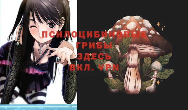 таблы Алексин